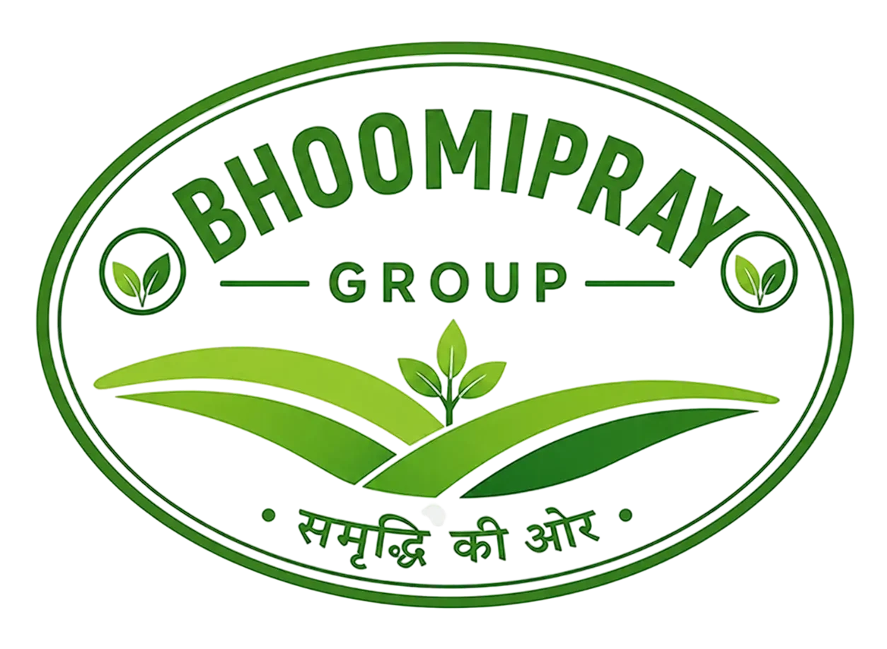 Bhoomi Plex Group Logo